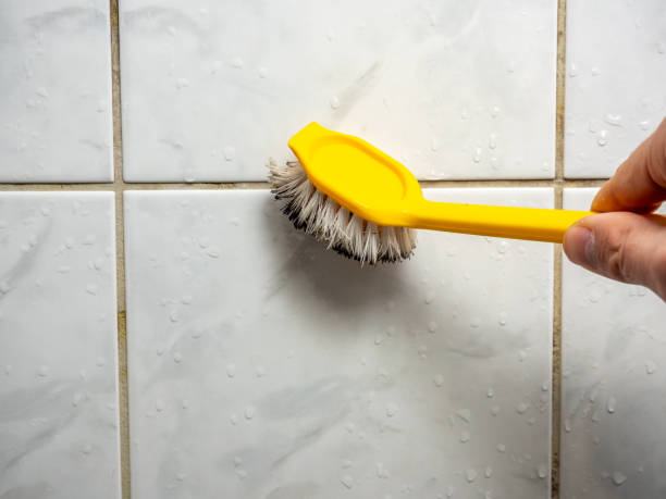 Home Mold Removal in Lake Bluff, IL