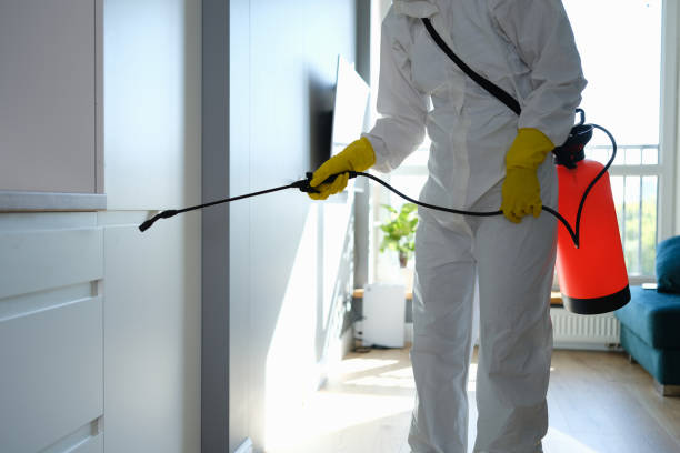 Best Mold Testing  in Lake Bluff, IL