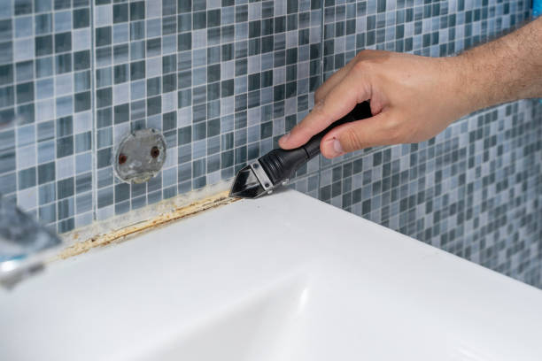 Best Water Damage Restoration  in Lake Bluff, IL