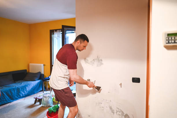 Best Fast Mold Removal  in Lake Bluff, IL